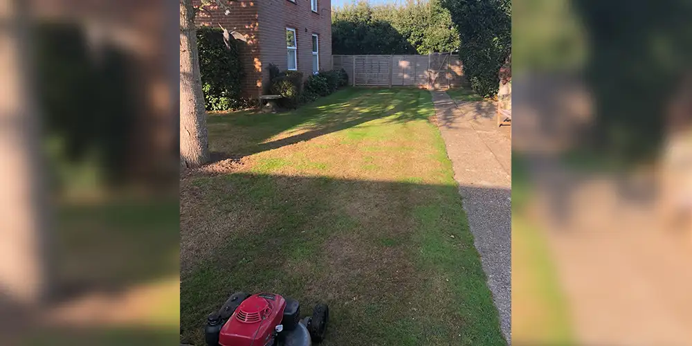 Care Home Garden