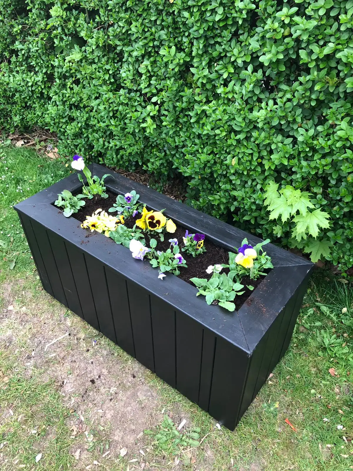 Flower Bed