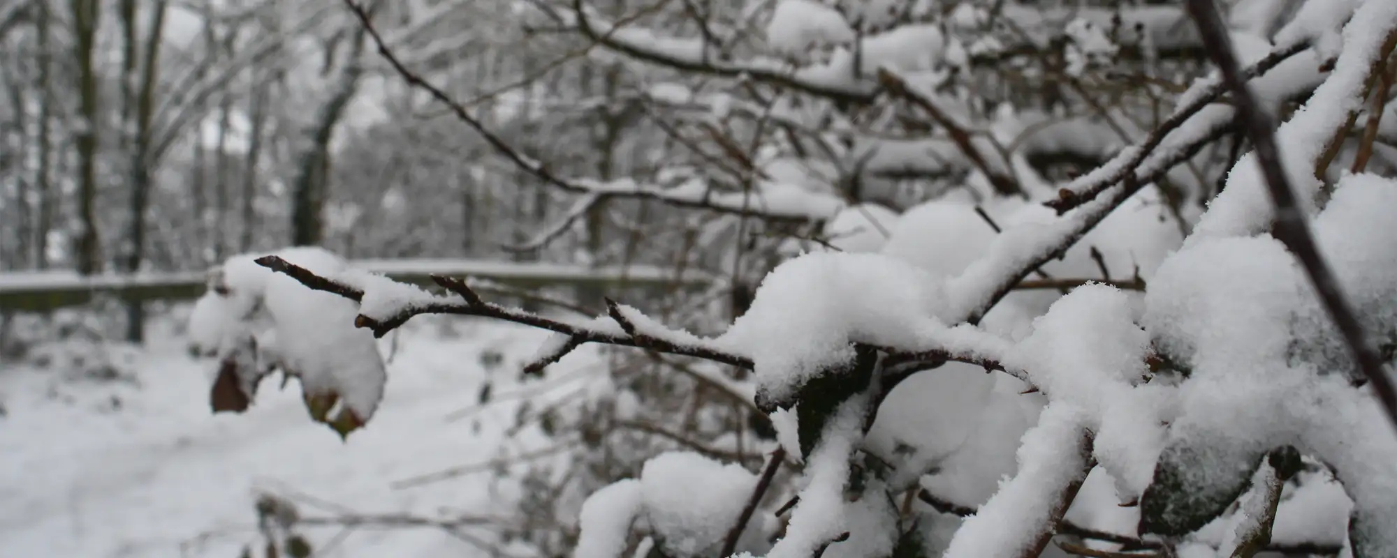 Winter Gritting
