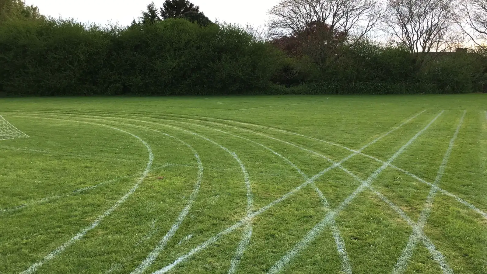 School Grounds 2