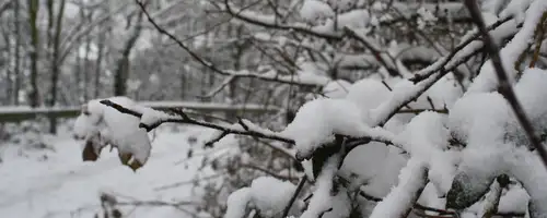 Winter Gritting