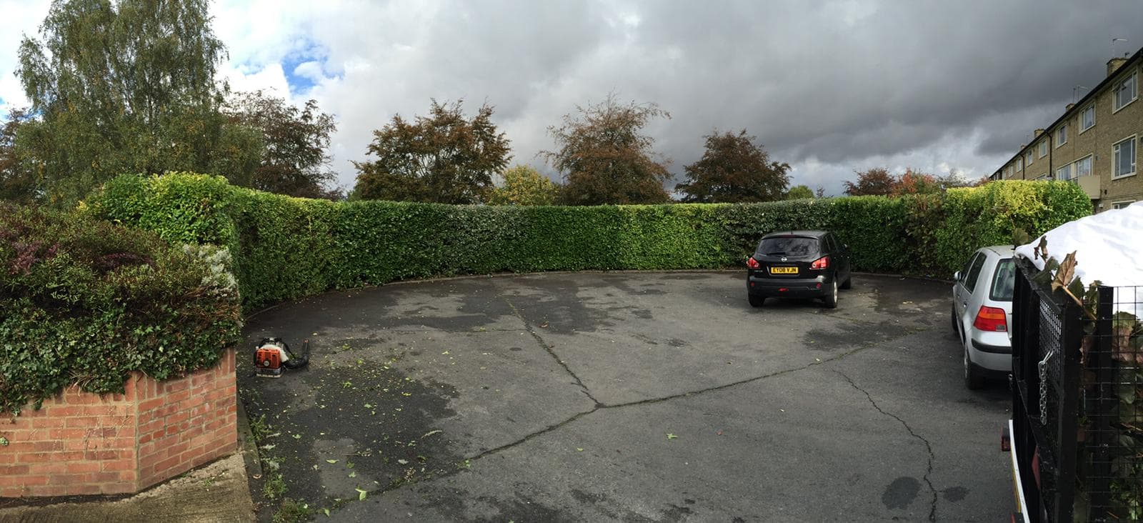 Hedge Cutting